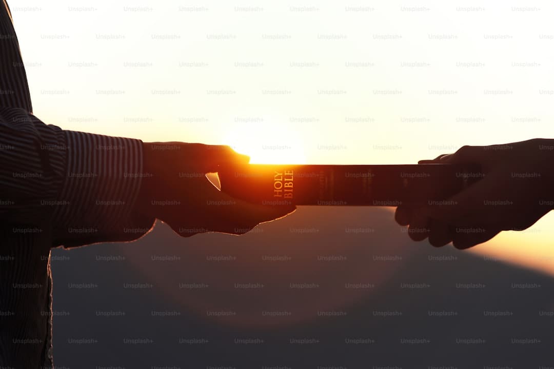 巴西最高法院命令幽禁前总统博索纳罗
